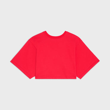 Allover Sequin Embroidered Crop Top - Rouge Intense/Off White