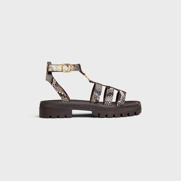 Triomphe Gladiator Chunky Sand - White/Dark Brown