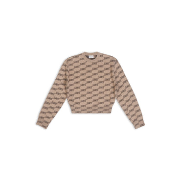 Licence Cropped Sweater - Beige/Brown