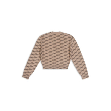 Licence Cropped Sweater - Beige/Brown