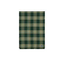 Reversible Check Wool Silk Scarf - Ivy