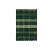 Reversible Check Wool Silk Scarf - Ivy