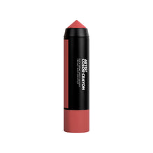 Artist Color Crayon