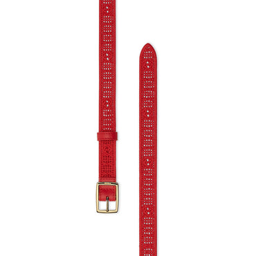 Women's Belt - Cardinale Red + Soft Gold