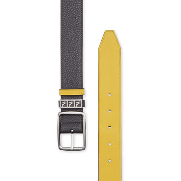 Men's FF Belt Reversible Classic Pin - Asphalt + Sunflower + Palladium