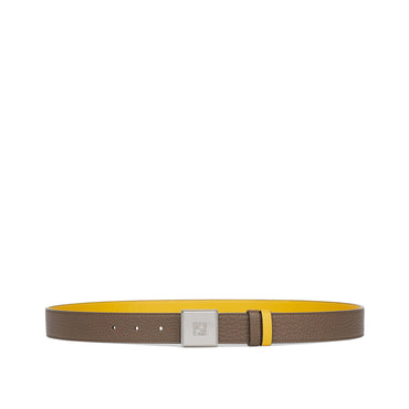 Men's FF Box Reversible Belt - Maya + Sunflower + Retro Palladium